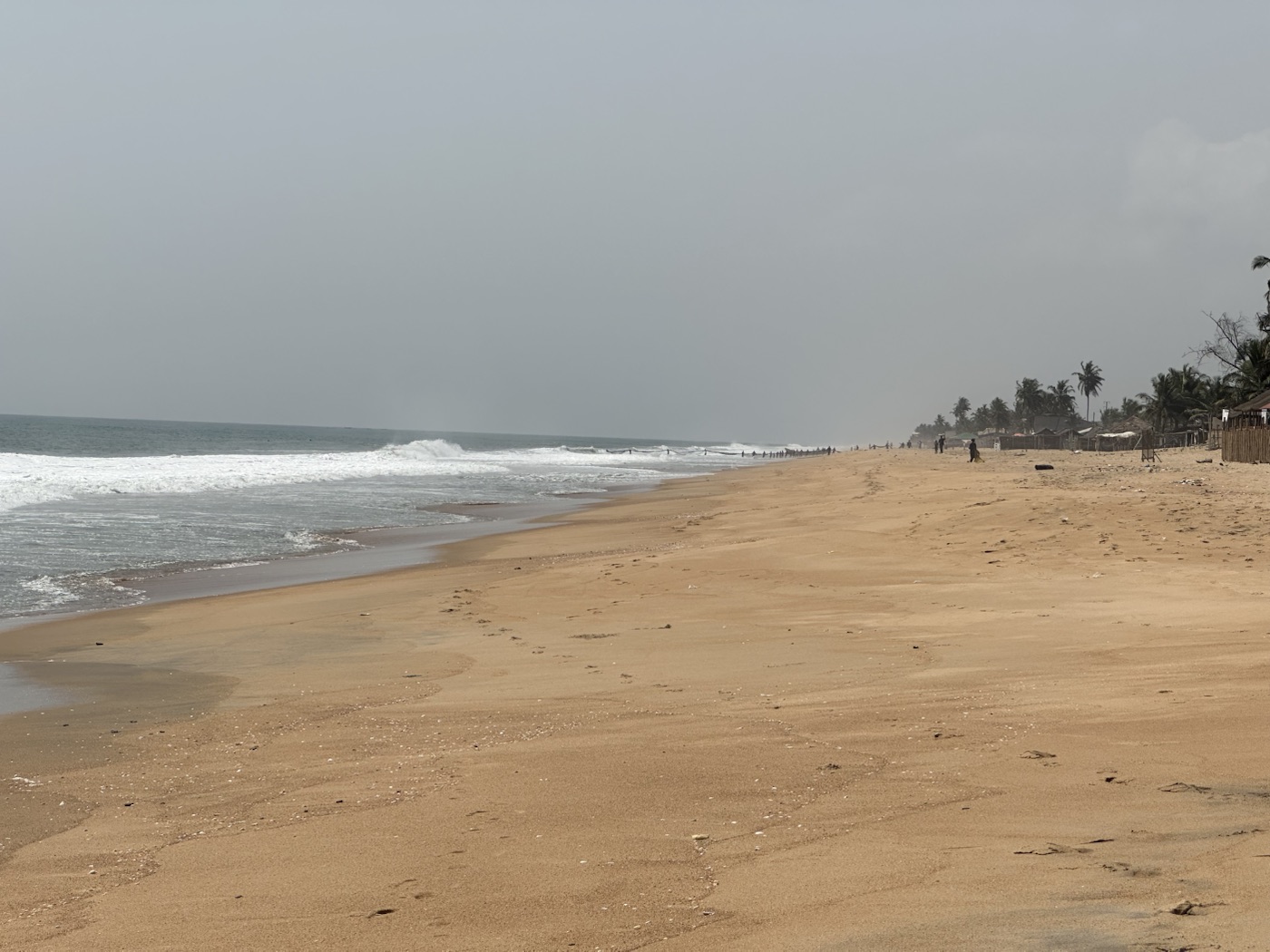 Sandy beach and coastal vegetation in West Africa.