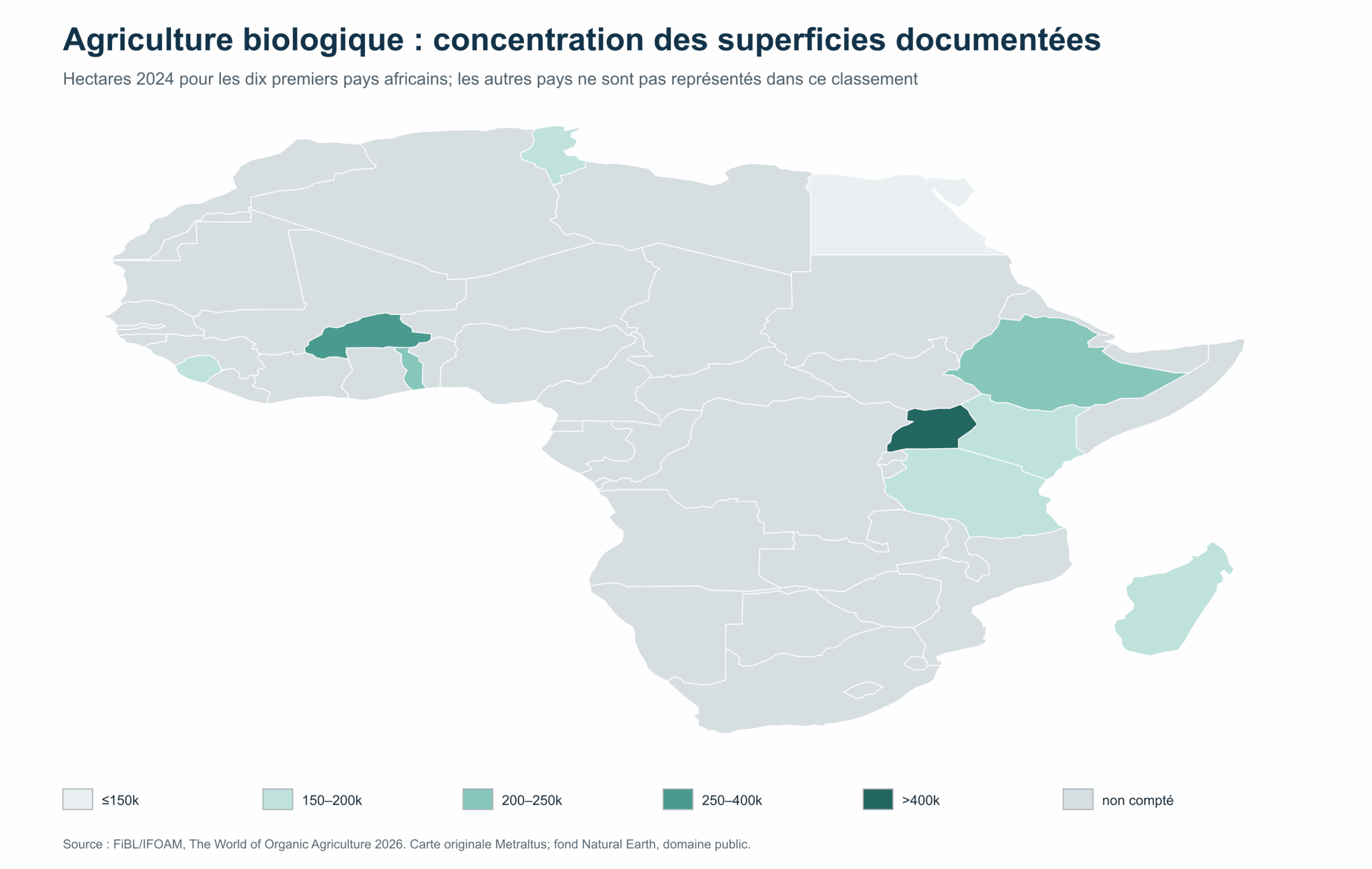 Carte 2 — Concentration des surfaces biologiques documentées en 2024. Les pays grisés ne sont pas des pays sans bio : ils sont hors du top 10 représenté.